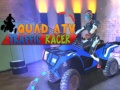 Гульня Quad ATV Трафік Часціка онлайн