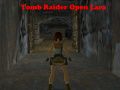 Гульня Tomb Raider: Адкрытая Лара онлайн