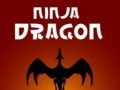 Гульня Ніндзя Дракон онлайн