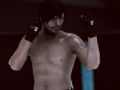 Гульня MFS: MMA Боец онлайн