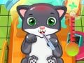 Гульня Кошачий Доктар онлайн Гульня Кошачий Доктар онлайн