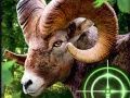 Гульня Божевільны паляўнічы на коз 2020 онлайн Гульня Божевільны паляўнічы на коз 2020 онлайн