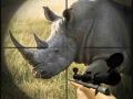 Гульня Дзікі носарог паляўнічы онлайн