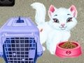 Гульня Догляд за жывёламі Baby Taylor онлайн