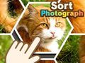 Гульня Сартаваць фота онлайн