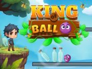 Гульня King of Ball онлайн