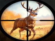 Гульня Паляванне на дзікіх жывёл онлайн