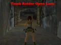 Гульня Tomb Raider: Адкрытая Лара онлайн