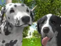 Гульня Сімулятар Сабак 3D онлайн