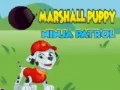 Гульня Патруль Ніндзя Шчанюкоў Мартала онлайн