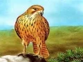 Гульня Глісада хічаў онлайн Гульня Глісада хічаў онлайн