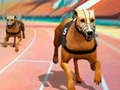 Гульня Сабакі3D Заезды онлайн