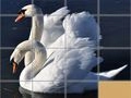 Гульня Гульня-загадка жывёл онлайн Гульня Гульня-загадка жывёл онлайн