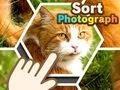 Гульня Сартаваць фота онлайн