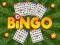 Гульня Bingo онлайн