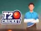 Гульня T20 Крыкет онлайн