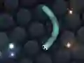 Гульня Slither.io онлайн