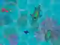 Гульня Sharkz.io онлайн
