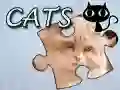 Гульня Пазл: Коты онлайн