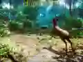 Гульня Лавец 3D онлайн Гульня Лавец 3D онлайн