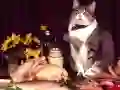 Гульня Смяшныя Коты Пазл онлайн