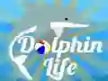 Гульня Жылаць дэльфіна онлайн