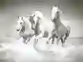Гульня Галадзе з конямі онлайн