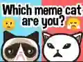 Гульня Які вы мем-кот? онлайн Гульня Які вы мем-кот? онлайн