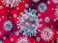 Гульня Тап Тап Ковид Дзяўчына онлайн Гульня Тап Тап Ковид Дзяўчына онлайн