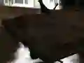 Гульня Дрифт Z онлайн Гульня Дрифт Z онлайн