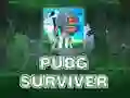 Гульня PUBG Выжылы онлайн Гульня PUBG Выжылы онлайн
