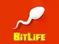 Гульня BitLife онлайн