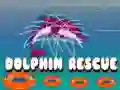 Гульня Ратаванне дельфінаў онлайн Гульня Ратаванне дельфінаў онлайн