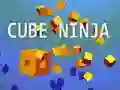 Гульня Кубічны Ніндзя онлайн Гульня Кубічны Ніндзя онлайн