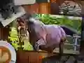 Гульня Пазл Кони Выданне онлайн