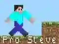 Гульня Pro Steve онлайн
