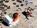 Гульня TopDown Skibidi Сцэнарый Стрельбы онлайн Гульня TopDown Skibidi Сцэнарый Стрельбы онлайн
