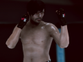 Гульня MFS: MMA Боец онлайн