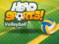 Гульня Волейбол ад Head Sports онлайн