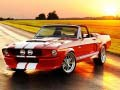 Гульня Агульныя адрозненні Mustang онлайн