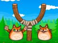 Гульня Стреляй у разъярённого кота онлайн