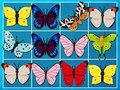Гульня Кароль Маджонга онлайн
