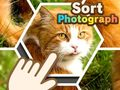 Гульня Сартаваць фота онлайн